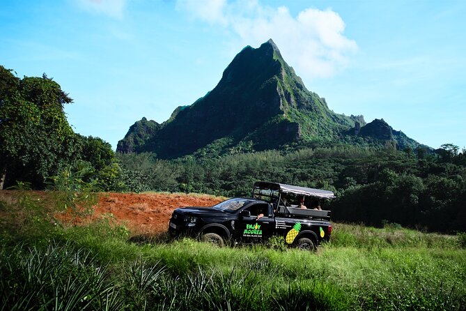 Enjoy Moorea Day Tour - Belvedere Lookout and a fresh coconut stop