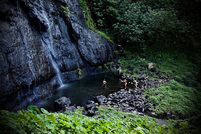 Enjoy Moorea Day Tour - Afareaitu Waterfalls is the day’s real physical test