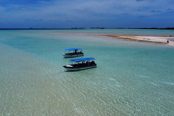 Excursion The Blue Lagoon and Reef Island - Key points at a glance