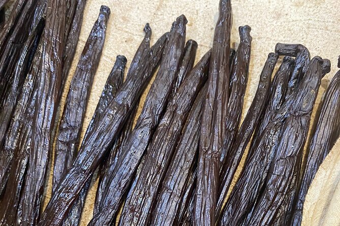 Exploration, Taha'a Lagoon Tour by Private Boat - Fare Vanira and Taha’a’s vanilla tradition