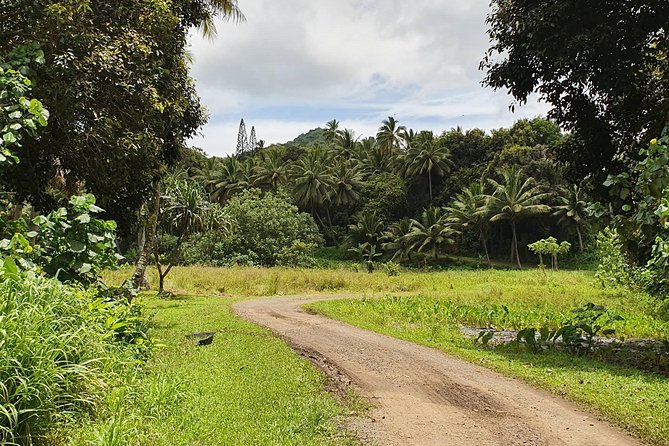 'Explore' Rarotonga Guided Bike Tour with Lunch and Swim - Who should book this ride