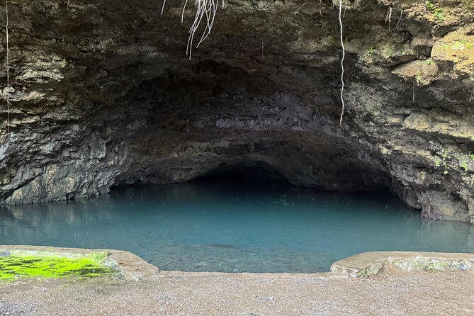 Explore Tahiti in depth in a day - Twin Waterfalls and a possible swim