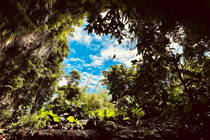 Explore Tahiti Nui, its landscapes and iconic sites. - What the $109.32 price really covers