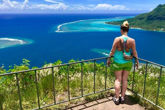 Franckyfranck Tours Moorea - Half day Tours - A guide-led tour with plenty of local context