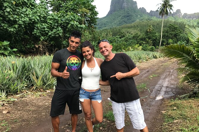 Franckyfranck tours Moorea - Tours privés // Private half day tours - Pineapple fields in Opuhonu Valley