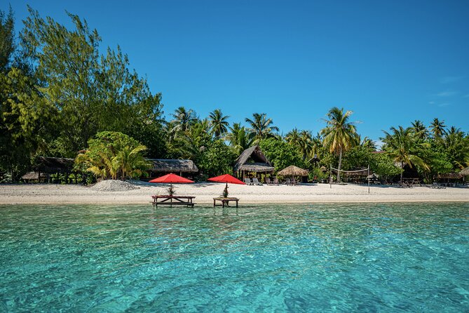 French Polynesia Snorkeling and 4X4 Adventure Tour with Buffet - What the three snorkeling stops offer