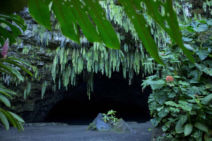 From Papeete: Tahiti Highlights Full-Day Private Tour - Lunch near the Paul Gauguin Museum