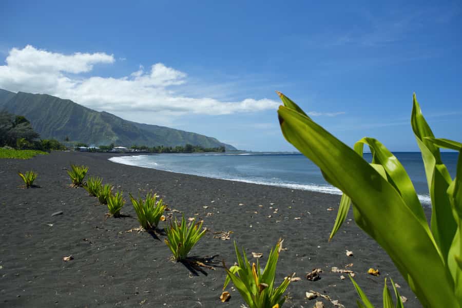 From Papeete: Tahiti Highlights Full-Day Private Tour - Arahoho Blowhole turns the coast into a show