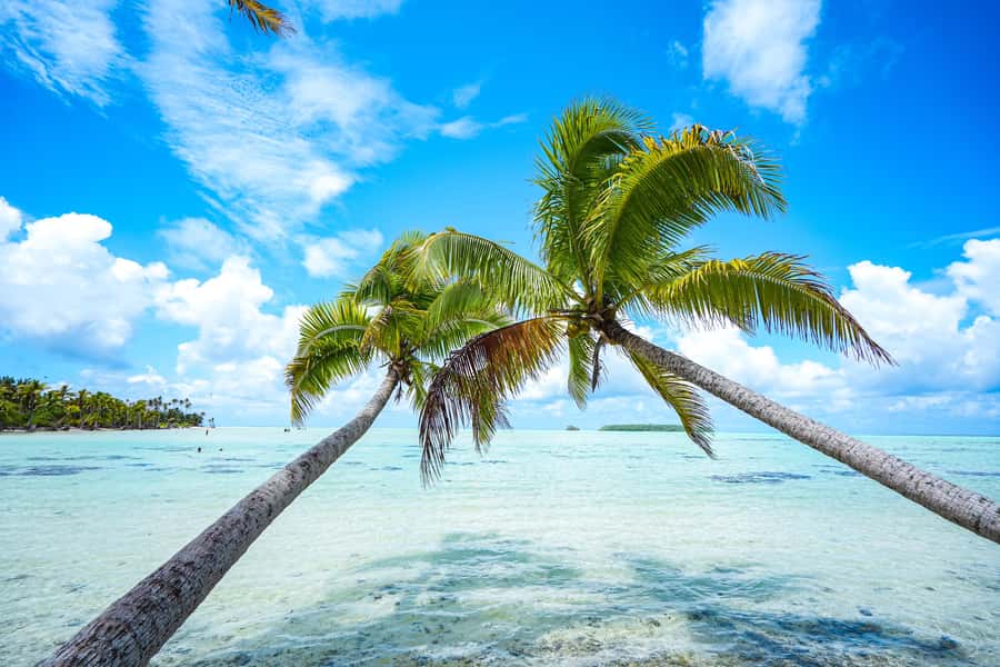 From Tahiti: Tetiaroa Island Tour by Sailing Catamaran - What the 2.5-hour catamaran crossing is really like