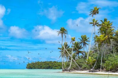 Tetiaroa Island Tour by Sailing Catamaran