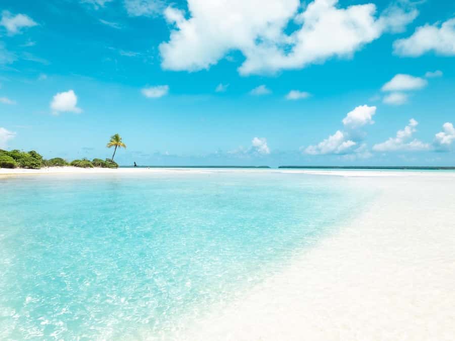 From Tahiti: Tetiaroa Island Tour by Sailing Catamaran - Tahitian lunch back aboard the catamaran