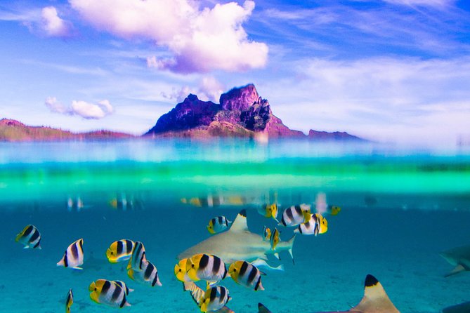 Full-Day Bora Bora Lagoon Cruise Including Snorkeling with Sharks and Stingrays - Why this six-hour lagoon cruise works so well
