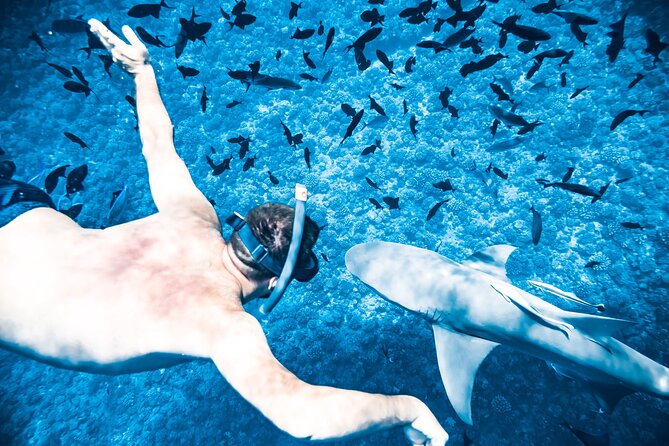 Full-Day Bora Bora Lagoon Cruise Including Snorkeling with Sharks and Stingrays - A private motu lunch with a Polynesian welcome