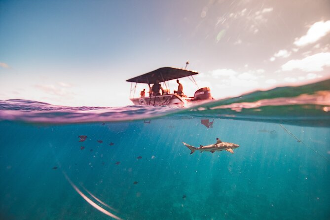 Full Day Eco Snorkeling & Traditional BBQ Lunch on a Motu - What the six-hour schedule feels like