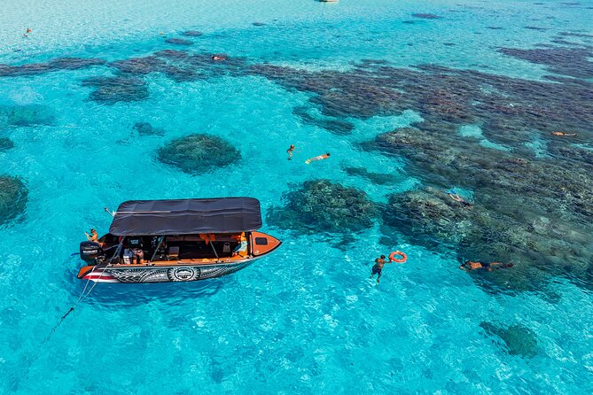 Full Day Eco Snorkeling & Traditional BBQ Lunch on a Motu - Is $204.06 a fair price?
