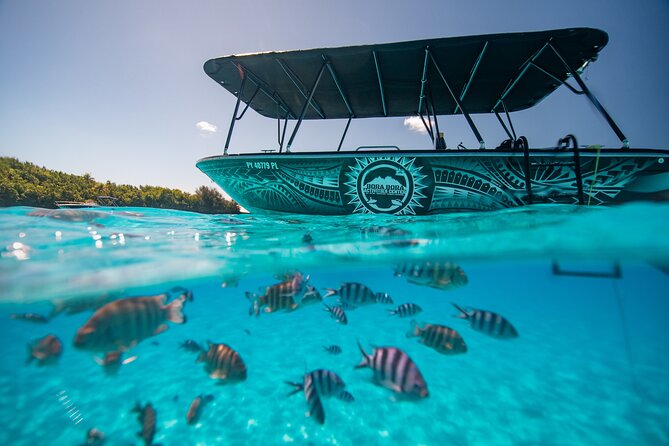 Full Day Eco Snorkeling & Traditional BBQ Lunch on a Motu - Guides who make the difference
