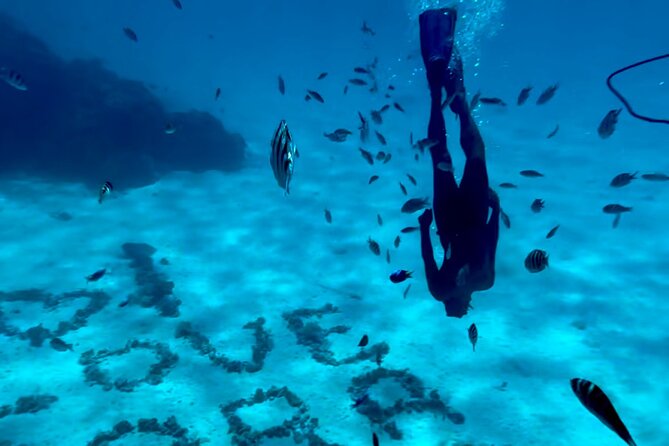 Full Day Lagoon experience with motu lunch - Six hours on Bora Bora’s living lagoon