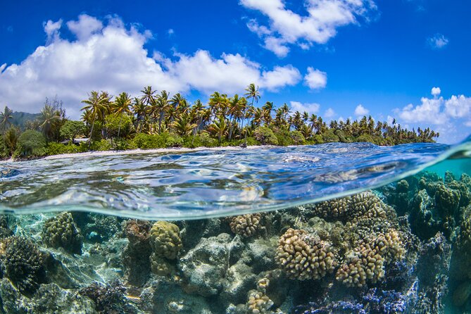 Full Day Lagoon Group Tour in Bora Bora with Lunch - Should you book it?