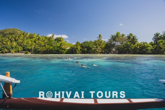 Full-day Lagoon Safari Tour with Lunch in Bora Bora - Shared tour - Shark and stingray stop, about 40 minutes