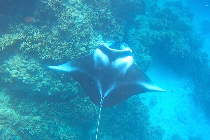 Full-day Lagoon Safari Tour with Lunch in Bora Bora - Shared tour - The boat ride back to Matira