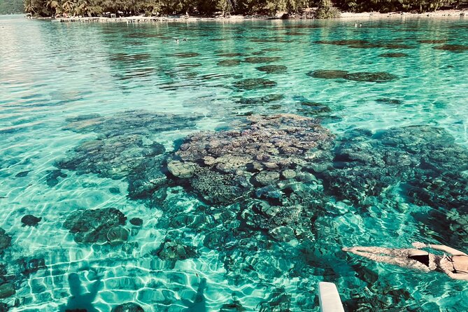 Full-day Lagoon Safari Tour with Lunch in Bora Bora - Shared tour - First stop: a gentle introduction to Bora Bora