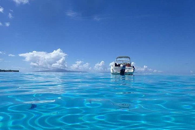 Full-Day Private Boat Tour of Bora Bora Lagoon with Snorkel - Price and value for a group of four