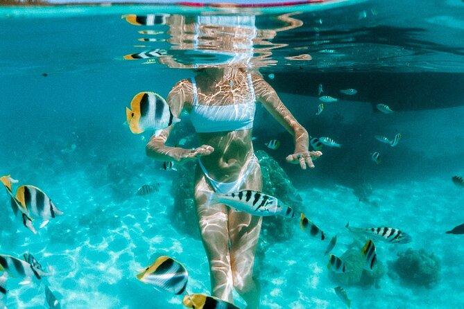 Full Day Tour : Moorea Snorkeling & Sunset Cruise on a Catamaran named Taboo - Why Taboo works as a Moorea day on the water