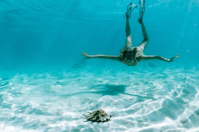 Full Day Tour : Moorea Snorkeling & Sunset Cruise on a Catamaran named Taboo - Sailing past Cook’s Bay and Opunohu Bay