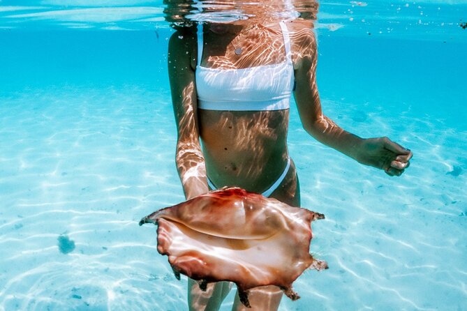 Full Day Tour : Moorea Snorkeling & Sunset Cruise on a Catamaran named Taboo - How the price compares with the experience