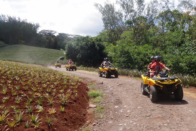 Grand Tour Quad Excursion in Moorea (Single or Two-Seater) - Streams, mud, and a proper off-road feel