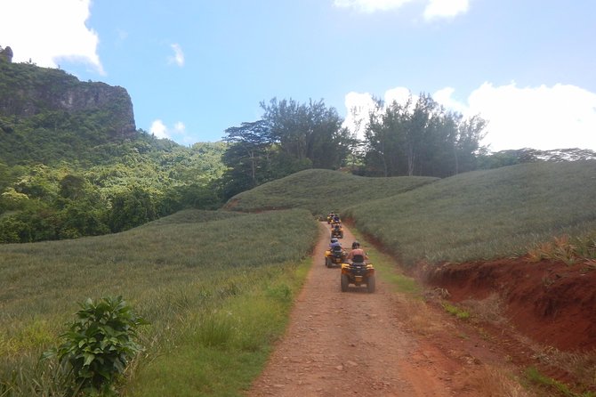 Grand Tour Quad Excursion in Moorea (Single or Two-Seater) - Freshwater eels and small moments you may remember