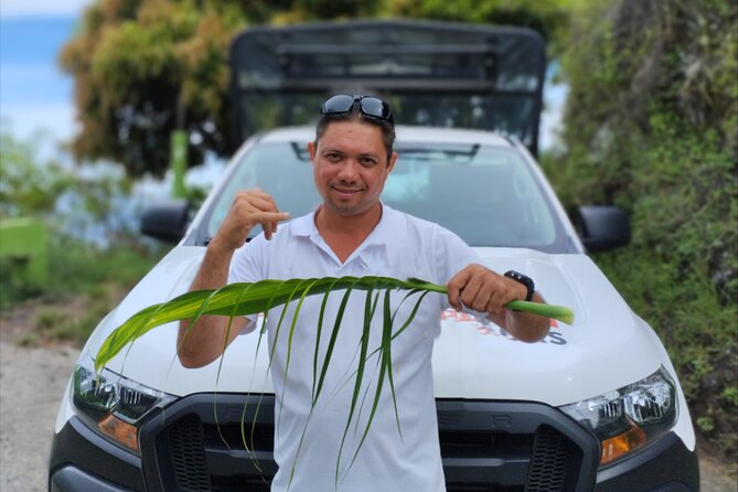 Guided Excursion in 4x4 in Moorea between Land and Sea - Why this six-hour Moorea tour works well