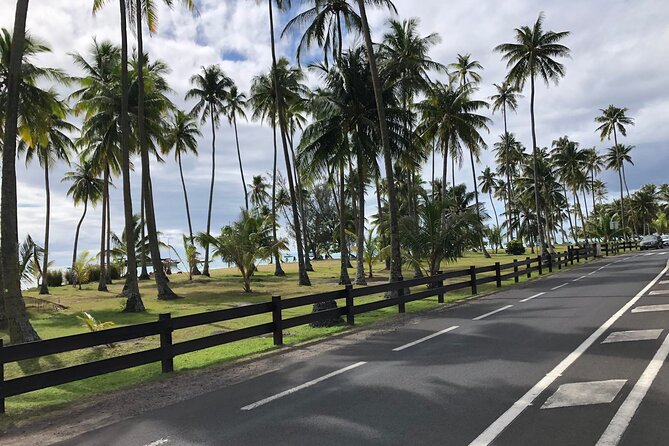 Guided Excursion in 4x4 in Moorea between Land and Sea - Belvedere Lookout frames Cook and Opunohu bays