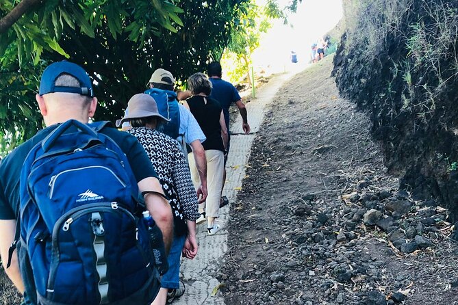 Guided Excursion in 4x4 in Moorea between Land and Sea - Fruit tasting at Manutea Tahiti