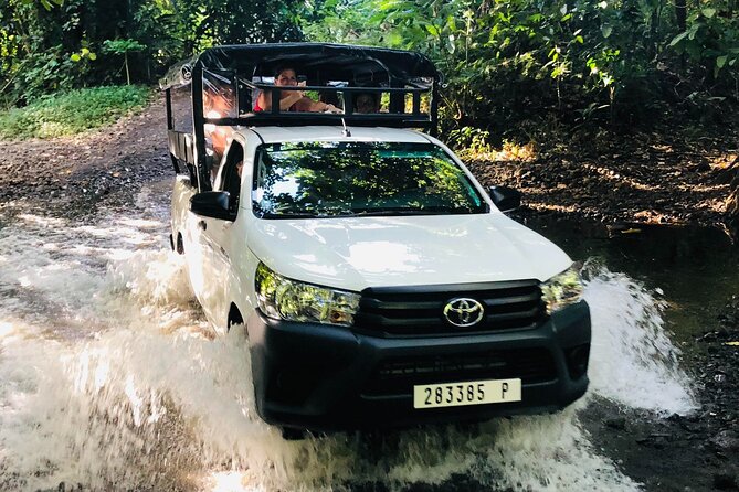 Guided Excursion in 4x4 in Moorea between Land and Sea - The price makes more sense for a small group