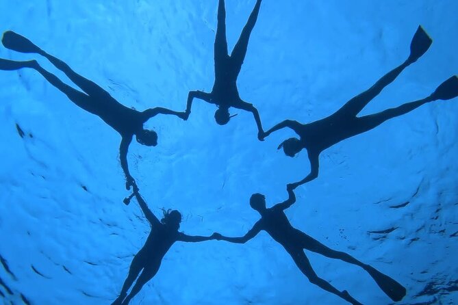 Guided Small Group Whale Watching and Swim Tour Tahiti - Seven practical questions before you go