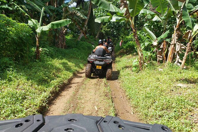 Guided tour of the island and its escapades in Tahaa by Quad / ATV - Ending in Patio with fruit and frozen coconut
