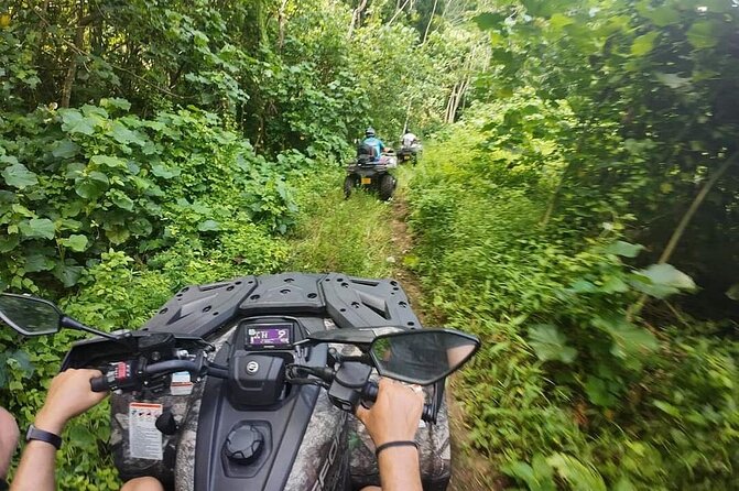 Guided tour of the island and its escapades in Tahaa by Quad / ATV - Starting with Tahaa’s vanilla at Vallee de la Vanille