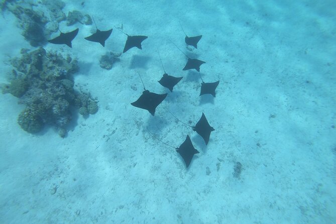 Half a day to discover Bora Bora with O-sea - Stories, legends, and a less mechanical pace