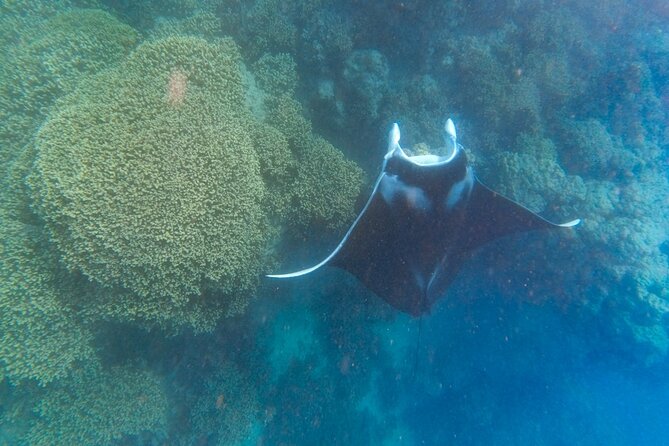 Half a day to discover Bora Bora with O-sea - Practical details for a smoother outing