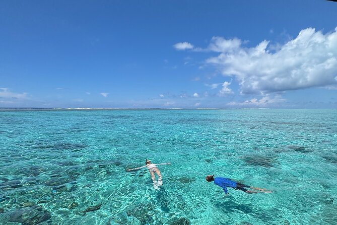 Half day Eco Snorkeling small group Tour in Bora Bora - Key things to know before you book