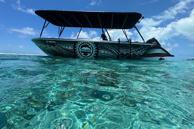 Half day Eco Snorkeling small group Tour in Bora Bora - Why this lagoon tour is worth your morning