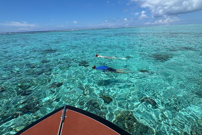 Half day Eco Snorkeling small group Tour in Bora Bora - First snorkeling areas: shallow water and tropical fish