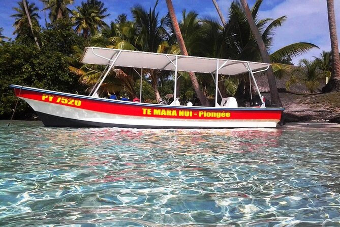 Half day excursion Tahaa - departure Raiatea / ideal cruise line - Why the four-hour format works for cruise passengers