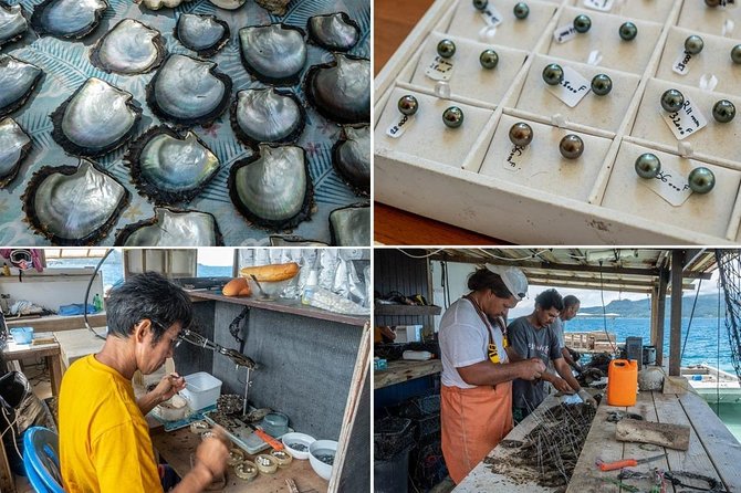 Half day excursion Tahaa - departure Raiatea / ideal cruise line - The pearl farm is the strongest stop