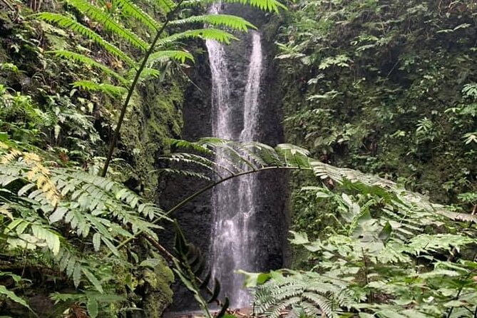 Half-Day Guided Hike to Afareaitu Waterfall - Afareaitu Waterfall Is Only Part of the Story