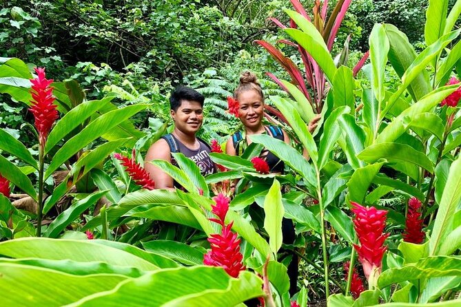 Half-Day Guided Hike to Afareaitu Waterfall - The Waterfall Pool Is the Reward