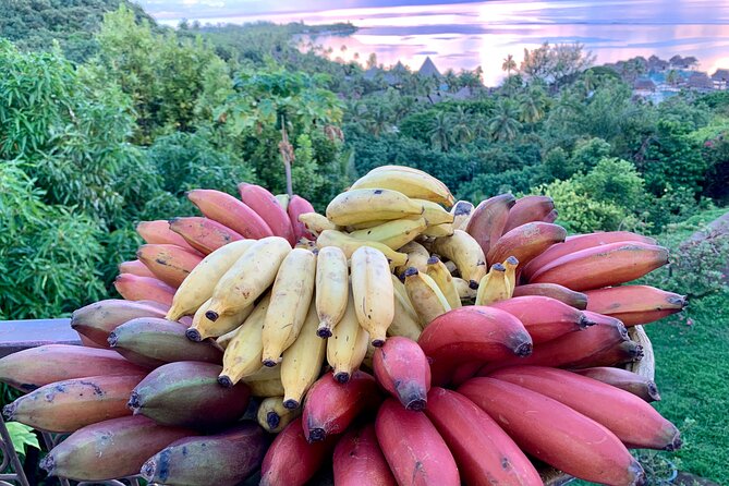 Half-Day Guided Hike to Afareaitu Waterfall - Timing, Pickup, and Cancellation Details