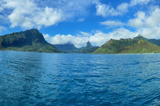 Half-Day Humpback Whales Encounter in Moorea - Why this Moorea whale trip feels different