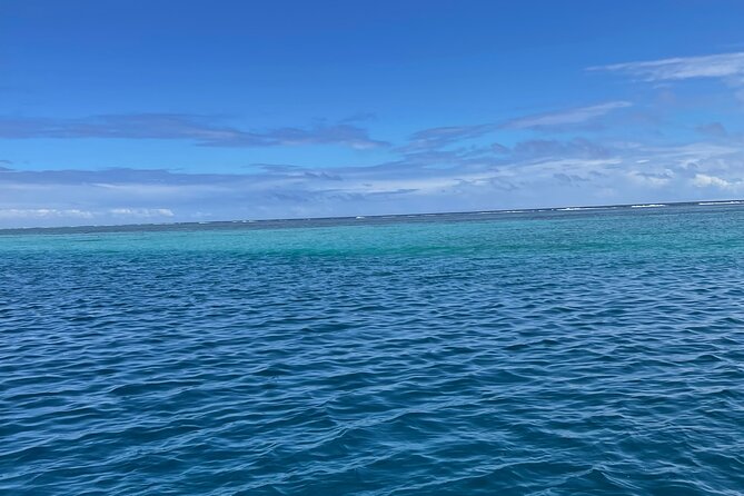 Half-Day Humpback Whales Encounter in Moorea - Why the group size and water limit matter